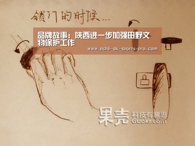 品牌故事:陕西进一步加强田野文物保护工作(图4) 体育数据平台