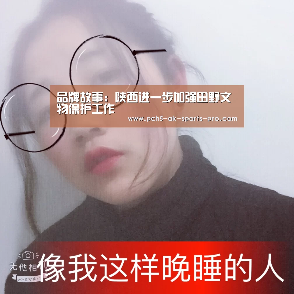 品牌故事:陕西进一步加强田野文物保护工作(图3) 品牌故事