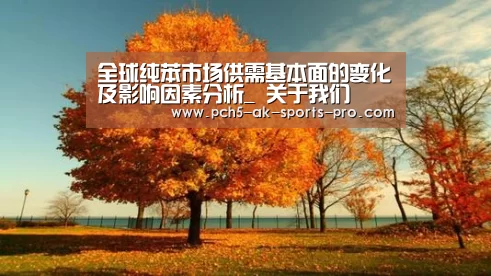 全球纯苯市场供需基本面的变化及影响因素分析_ 关于我们(图1) 数据驱动