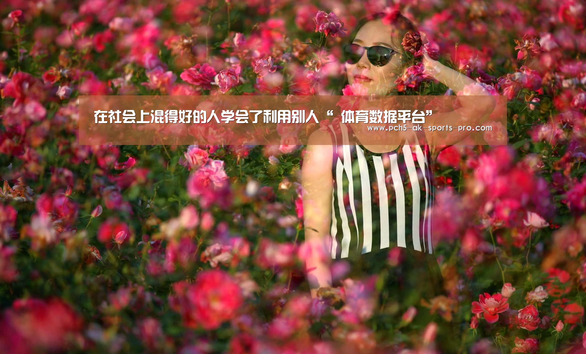  数据驱动