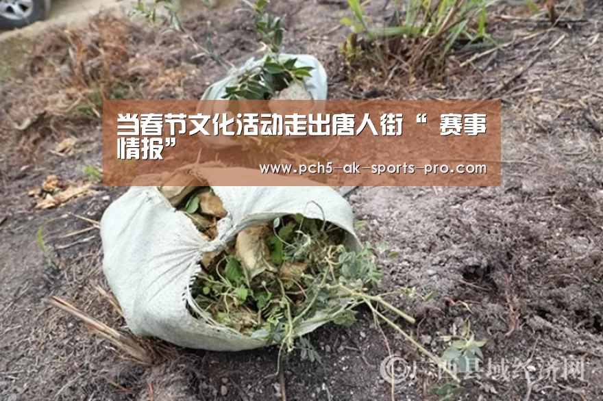 当春节文化活动走出唐人街“ 赛事情报”(图4) 体育数据平台
