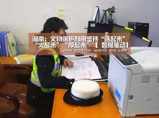 湖南:文物保护利用坚持“活起来”“火起来”“厚起来”【 数据驱动】(图3) 数据驱动