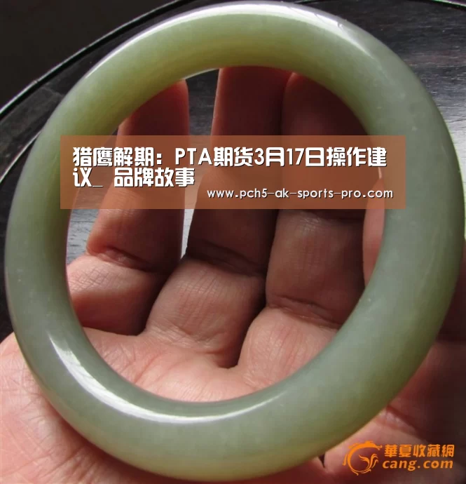 猎鹰解期:PTA期货3月17日操作建议_ 品牌故事(图1) 关于我们